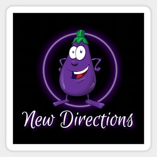 New Directions Magnet